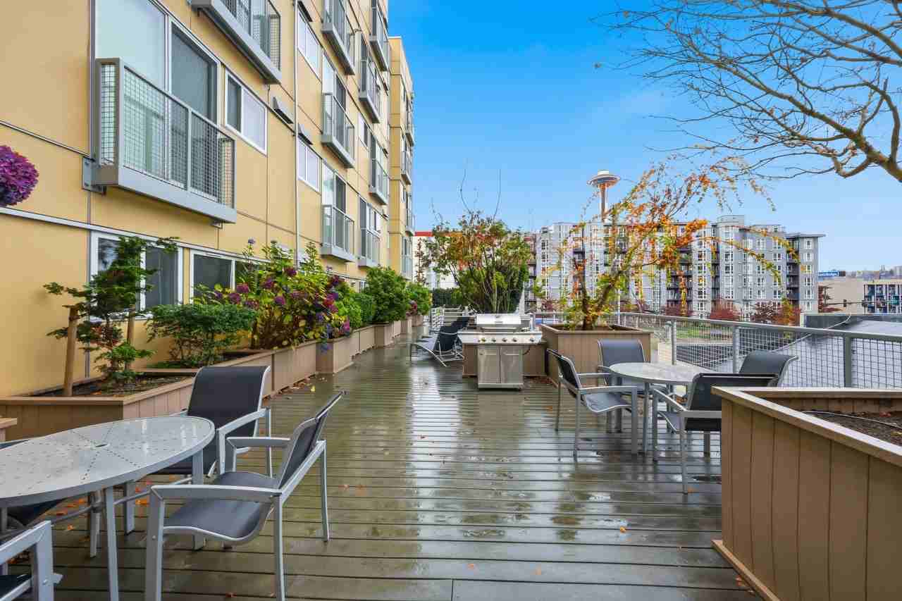 Borealis Apartments - Photo 5 of 50