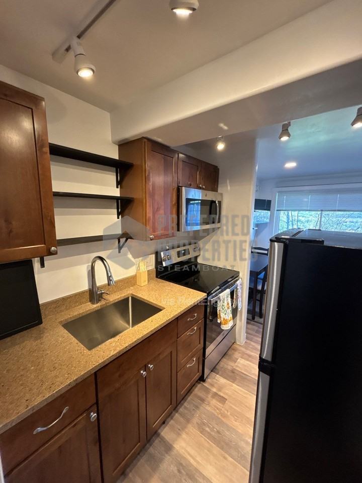 3295 Apres Ski Way #A3 - Photo 4 of 13