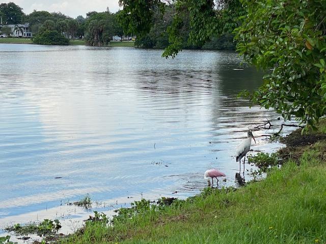 3360 Lake Osborne Dr #3360-107 - Photo 3 of 16