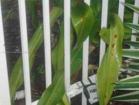 7051 Environ Boulevard - Photo 1 of 1