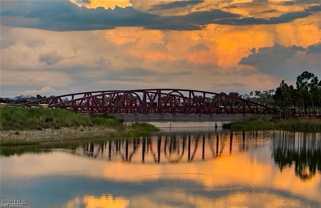 17843 Palmetto Pass Road #17843 - Photo 1 of 1