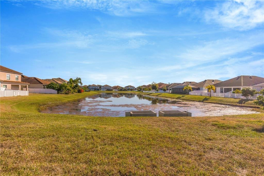 11954 Cinnamon Fern Drive #11954