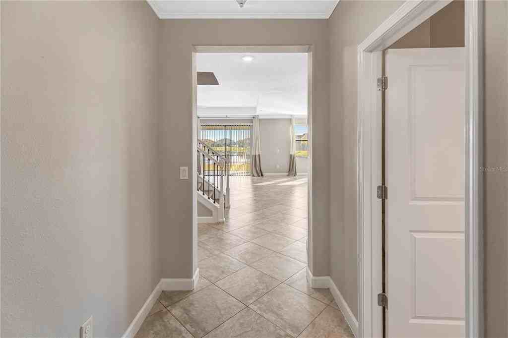 11954 Cinnamon Fern Dr #11954 - Photo 5 of 50