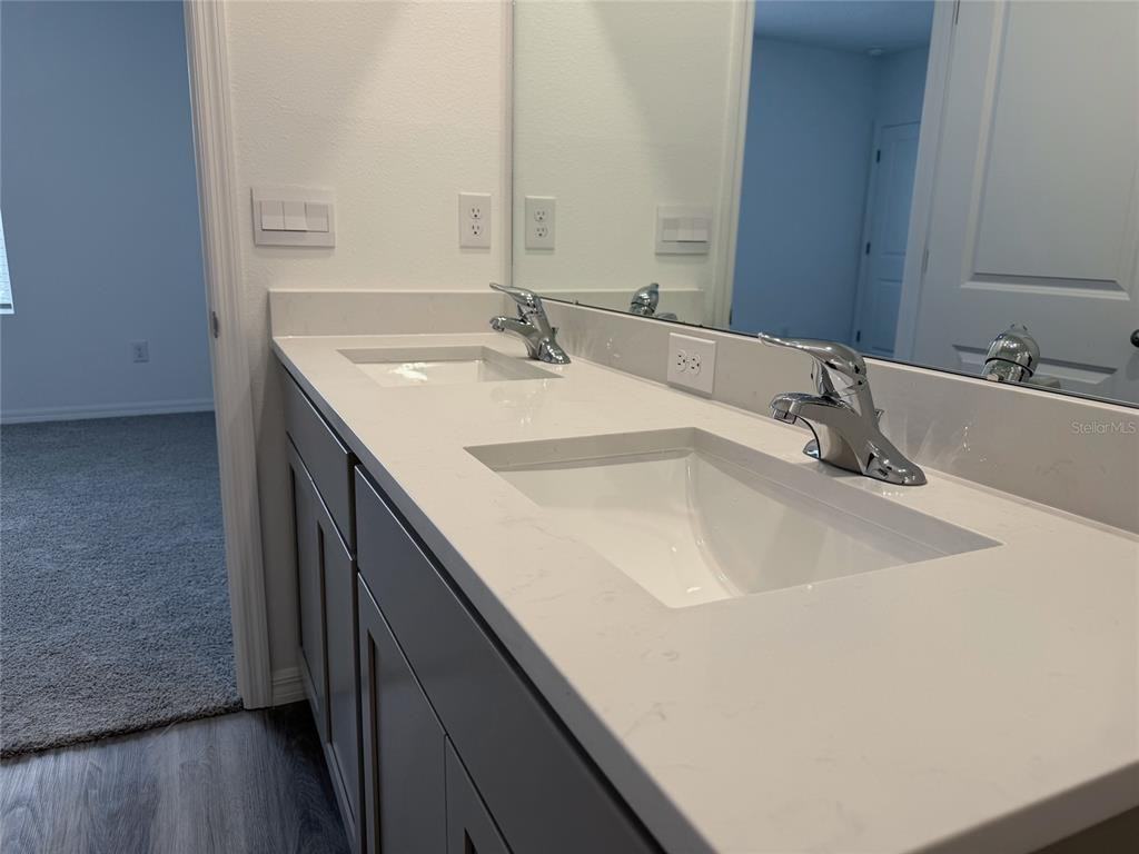 11367 Velvet Apricot Lane #11367 - Photo 6 of 50