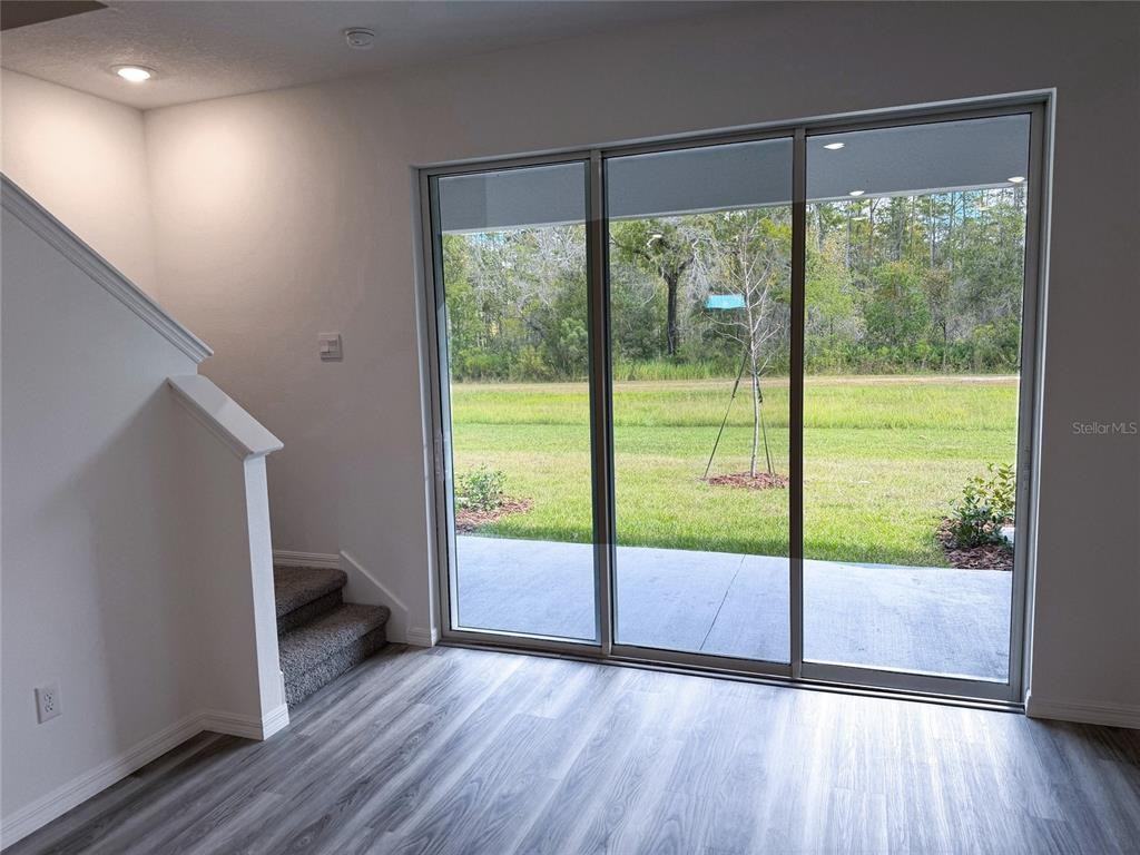 11367 Velvet Apricot Lane #11367 - Photo 7 of 50