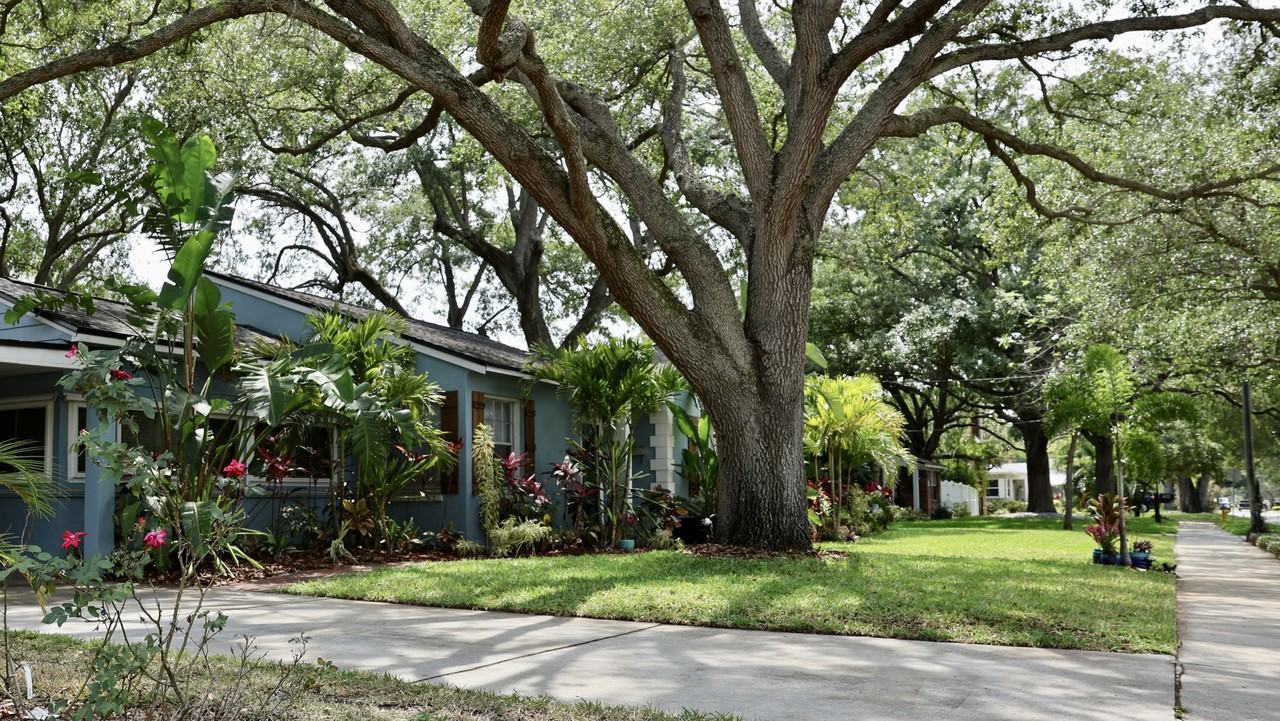 4118 W Palmira Ave #NA - Photo 6 of 20