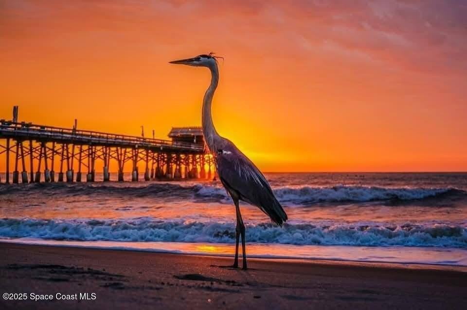 299 Chandler St #F - Photo 2 of 26