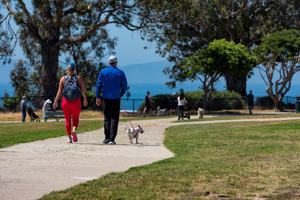 featured image of 56 Barranca Avenue