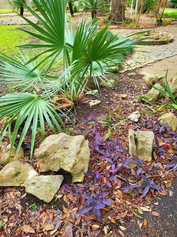 706 Maple Street #706