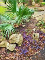 706 Maple Street #706 - Photo 1 of 1