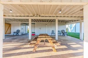 featured image of 3619 Barracuda #3619