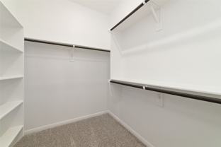 135 East Coralburst Loop #135-1 - Photo 1 of 1