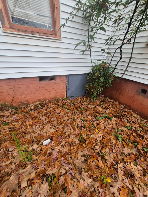 5107 W 22nd St - Photo 5 of 17