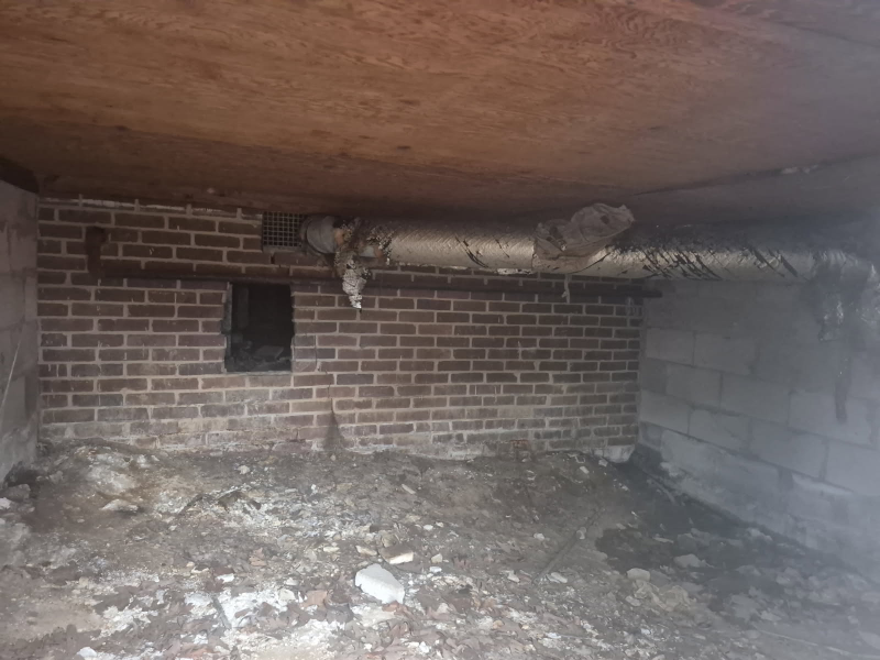 5107 W 22nd St - Photo 6 of 17