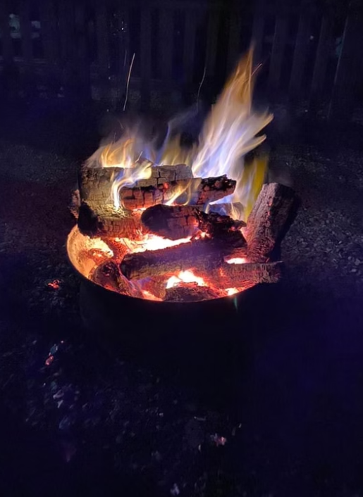 3622 East County Roadsouth - Photo 4 of 5