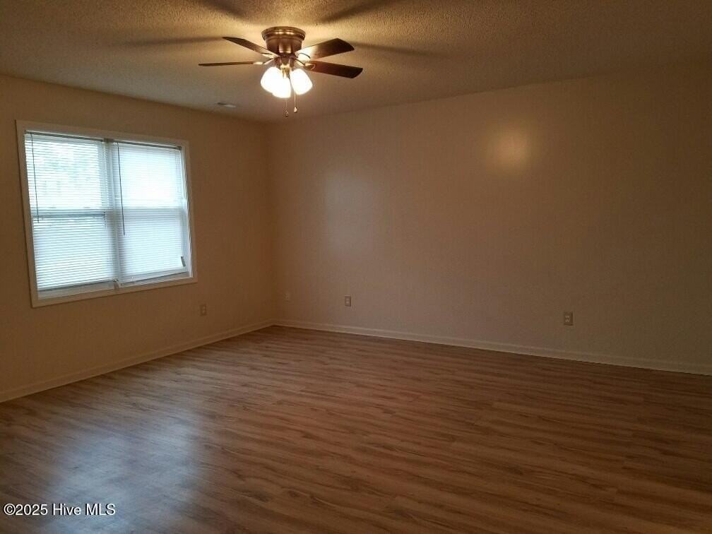 207 Springvale St - Photo 6 of 7