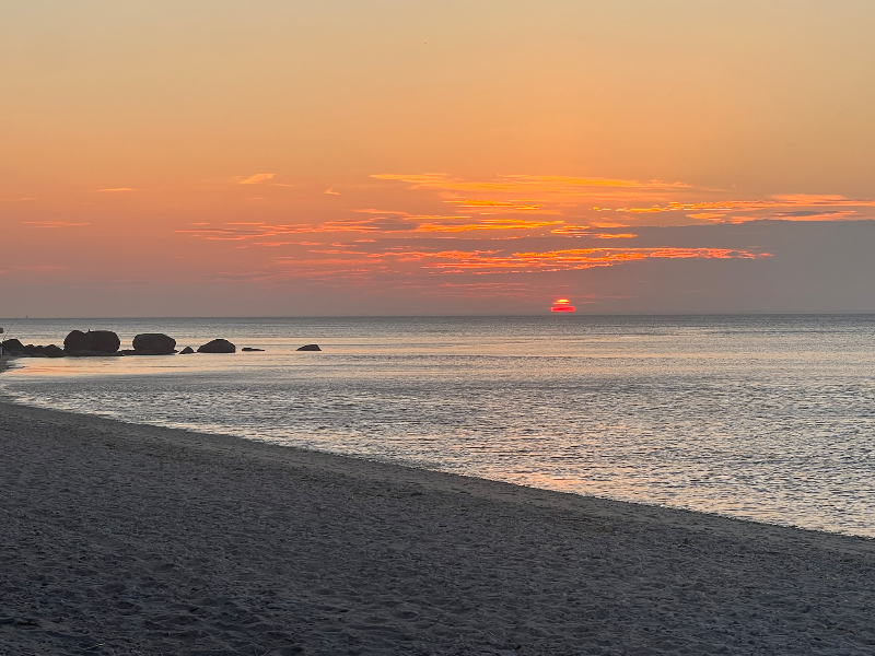 2 Wood Path - Photo 7 of 7