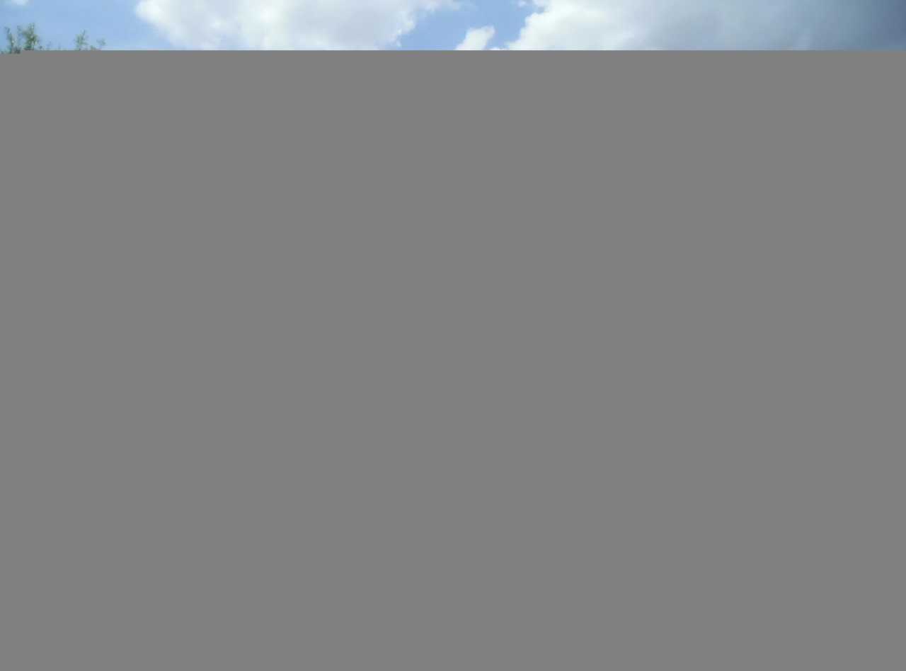 3182 Laurel Ridge Cir #3182 - Photo 2 of 12