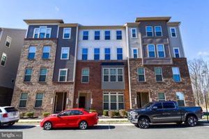 featured image of 25291 Gray Poplar Ter #25291