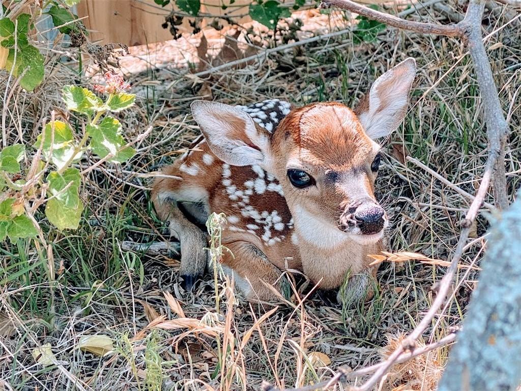 21822 Tallahassee Avenue #21822 - Photo 5 of 19