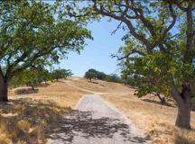 Undisclosed Address #1416 - Photo 1 of 1