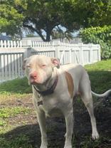 2002 Northeast 43rd Street #2002 - Photo 1 of 1