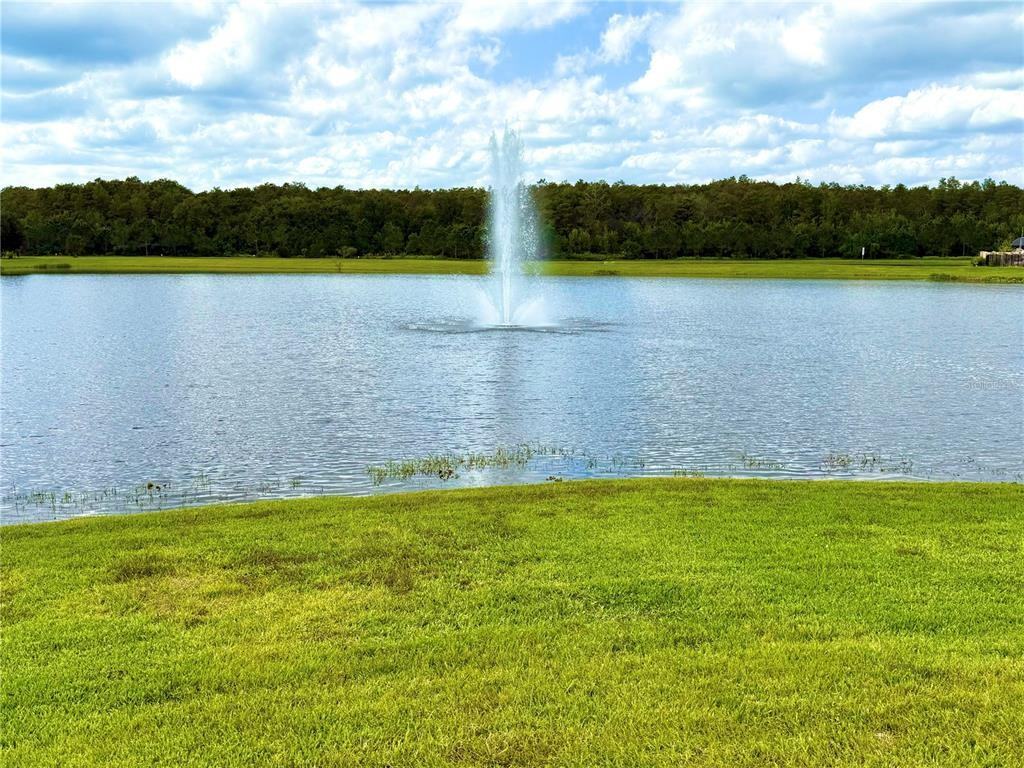 2665 San Simeon Way #2665