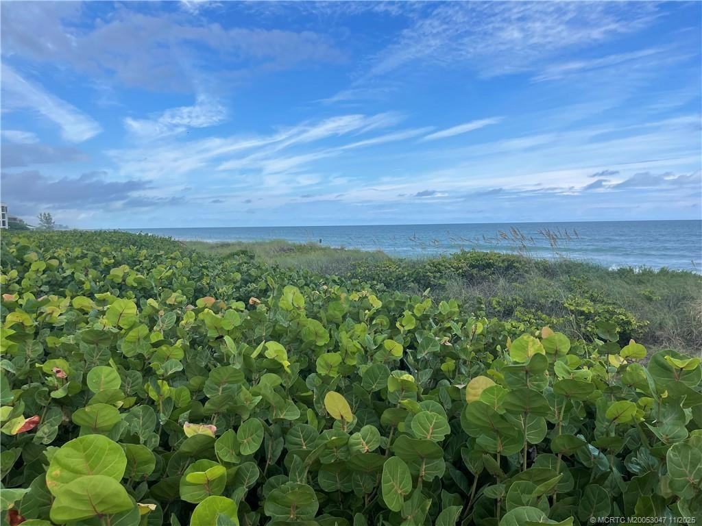 2355 Northeast Ocean Boulevard #2355120A - Photo 4 of 14