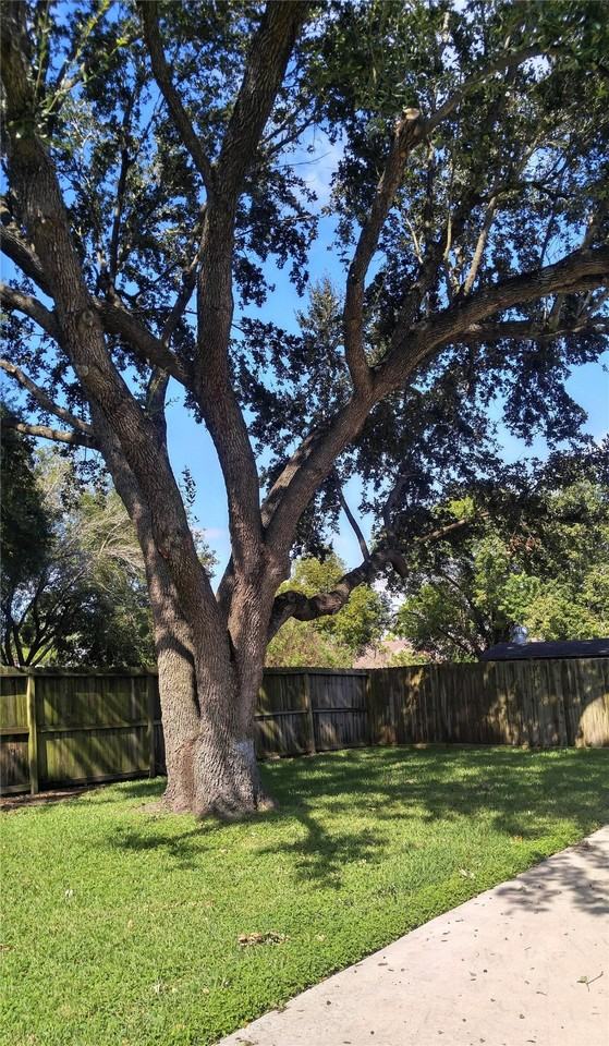 3806 Pecan Cir #3806 - Photo 2 of 15