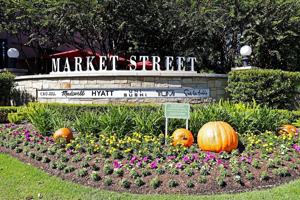 featured image of 14 Prism Cove Place #14