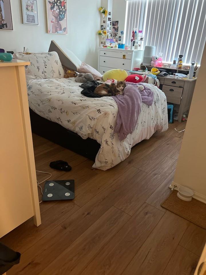 Mentone - Photo 7 of 12