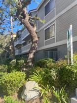 4608 Vista Del Monte Avenue, - Photo 1 of 1