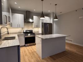 featured image of 5 Moilliet Street South #5