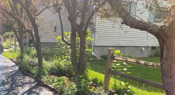 featured image of 26 Rochester Street #A1