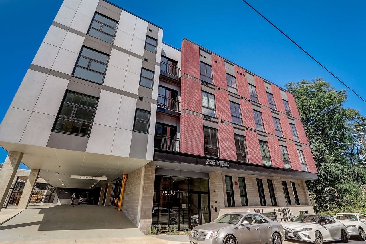 Cypress on Vine - Photo 7 of 50