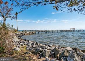 1345 Ellicott Ave - Photo 1 of 1