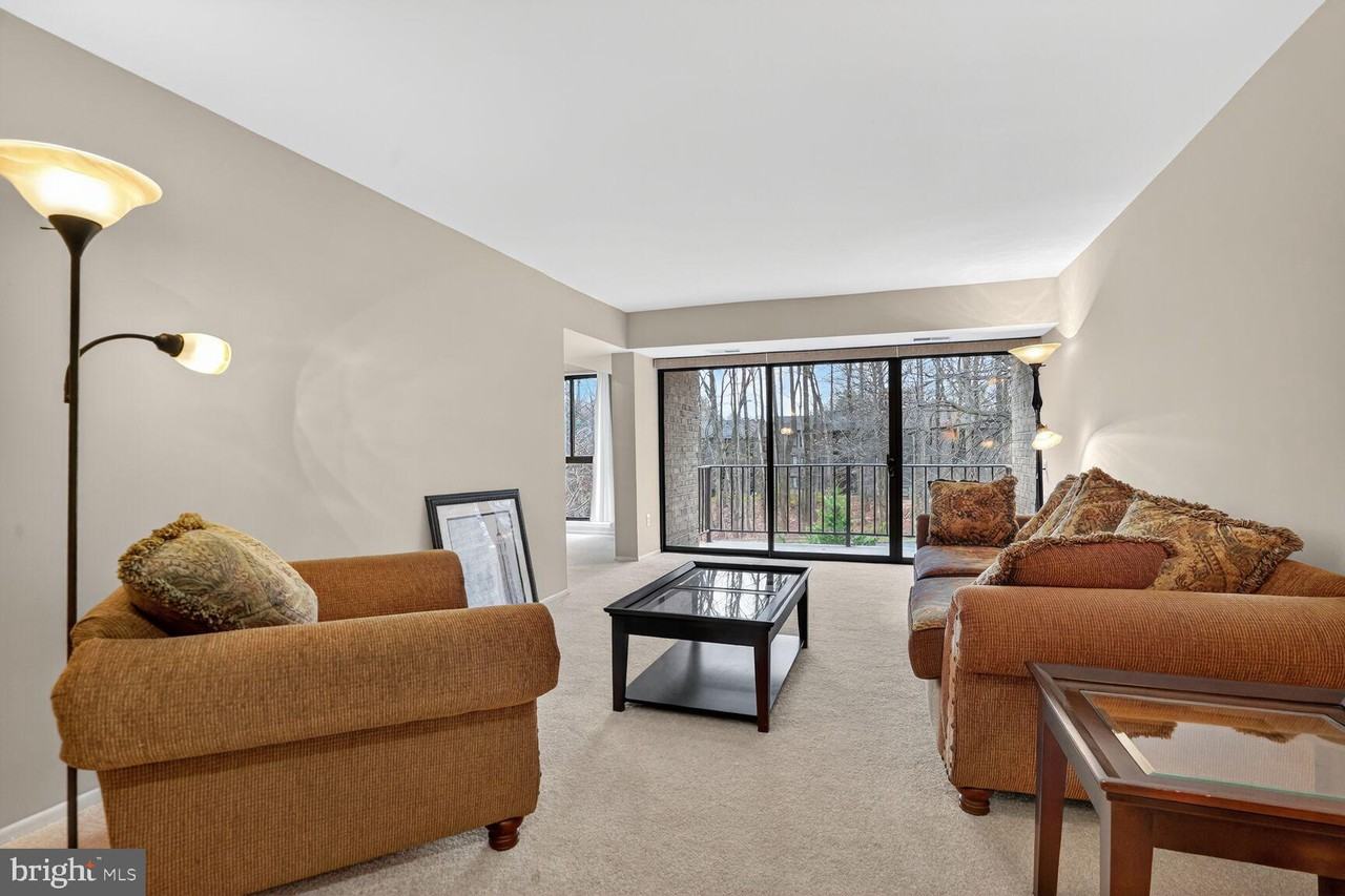 2063 Royal Fern Ct - Photo 3 of 14