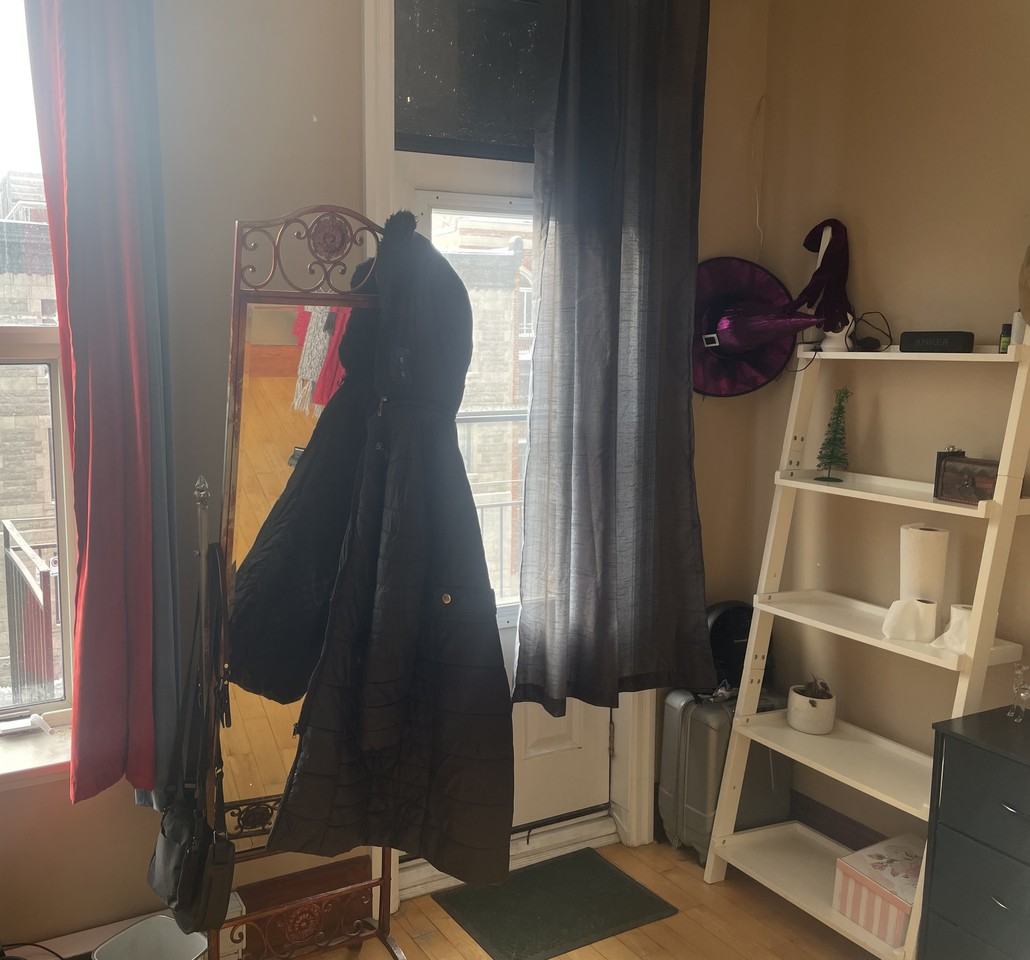 4217 Rue Saint-Urbain - Photo 3 of 3