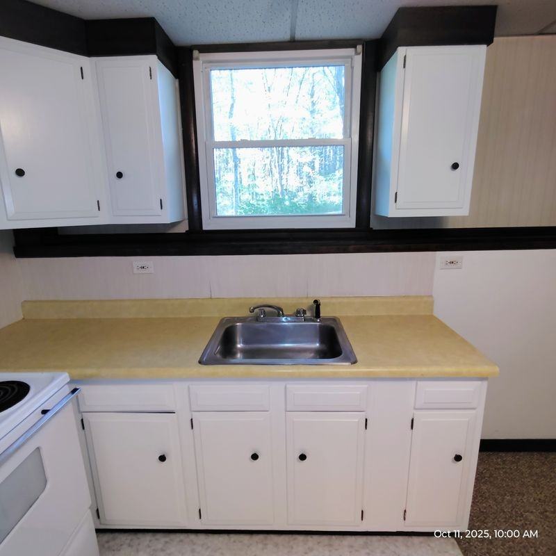 124 Mammoth Road - Photo 2 of 12