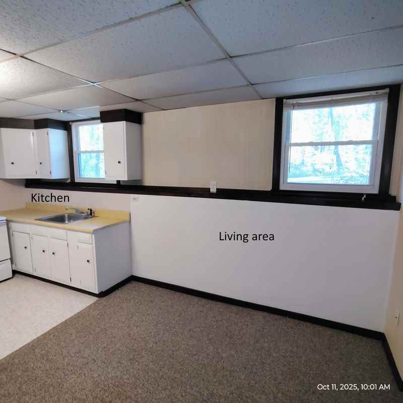 124 Mammoth Road - Photo 3 of 12