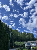 Blackwater Pl & Sylvia Pl - Photo 1 of 1