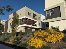 featured image of 479 Mulligan