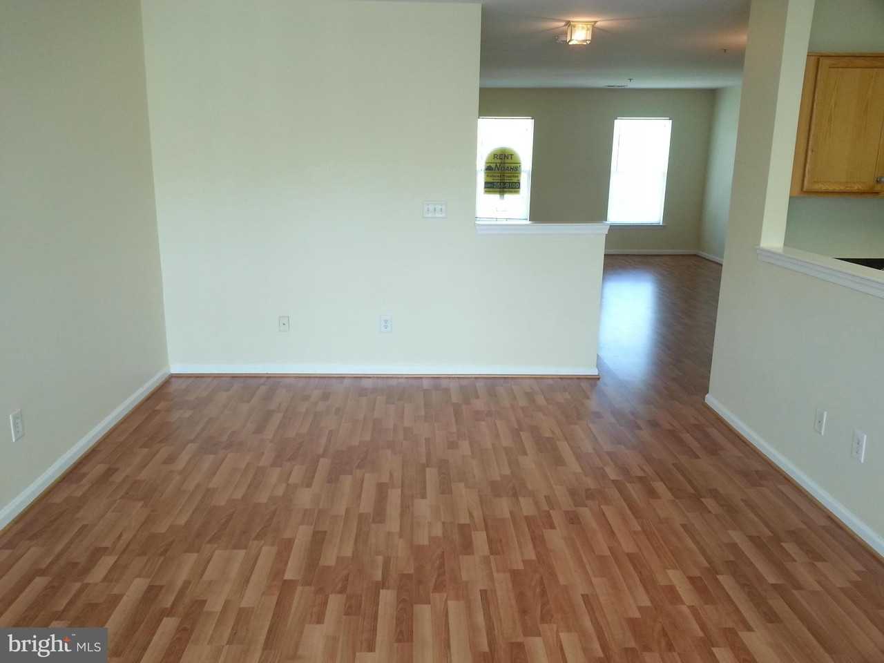 2060 University Boulevard West #6 - Photo 6 of 29