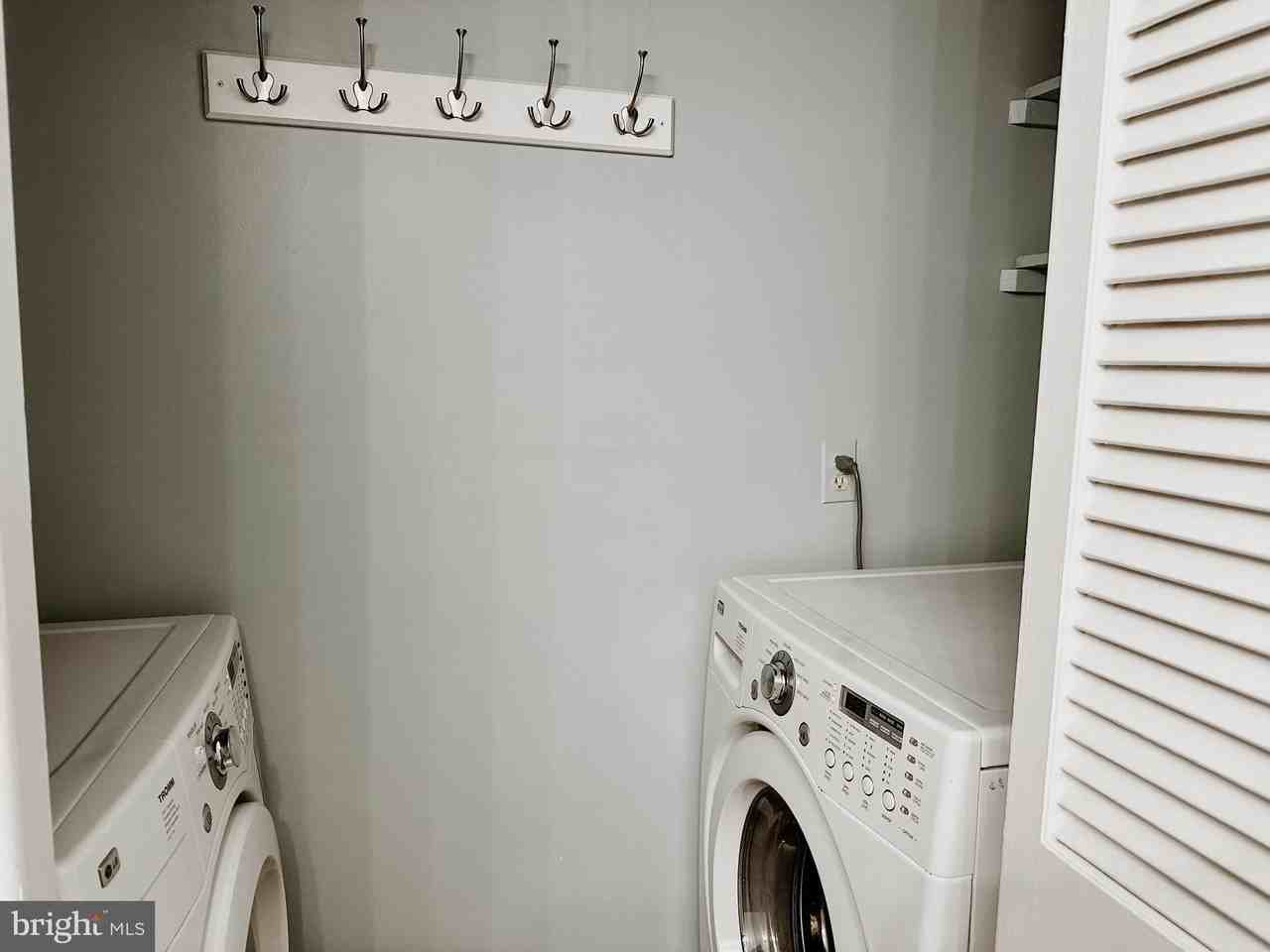 8317 Kingsgate Rd Unit 517 #517 - Photo 5 of 14