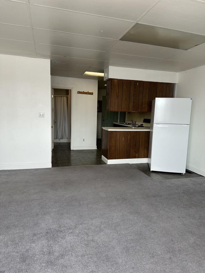 124 North 3rd Street - Photo 4 of 22