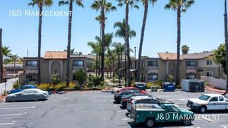 SUNSHINE - Photo 1 of 1