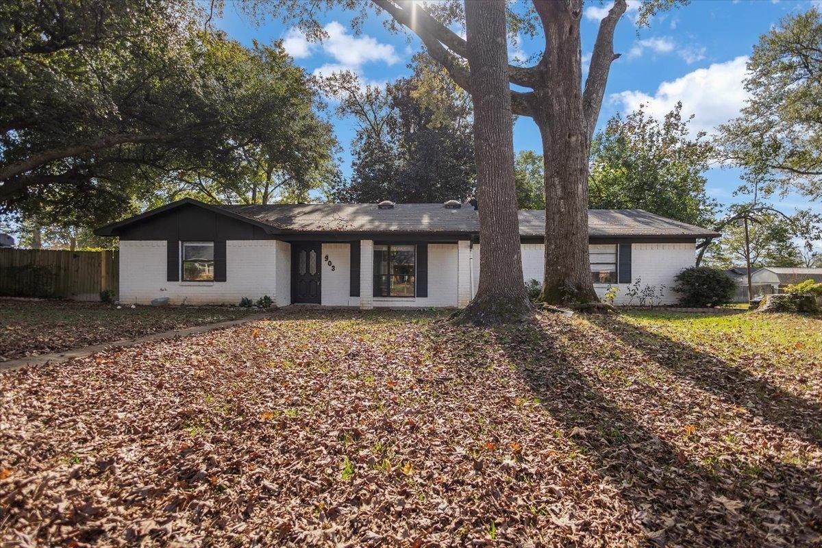 903 Joel Dr - Photo 2 of 20