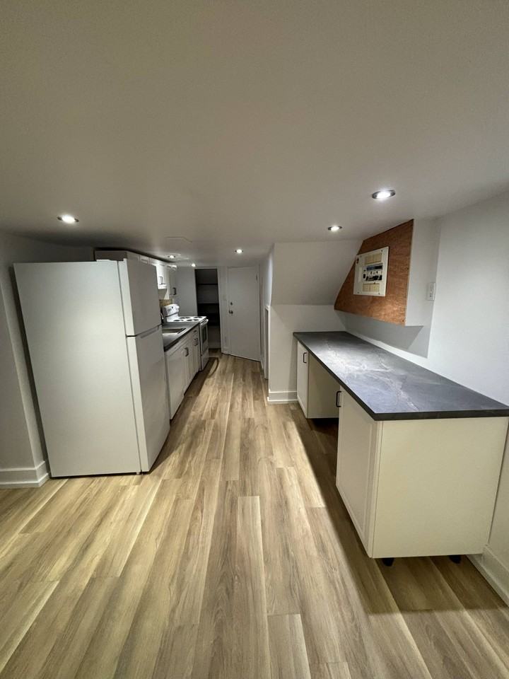 329 Christina St N Lowr - Photo 6 of 11