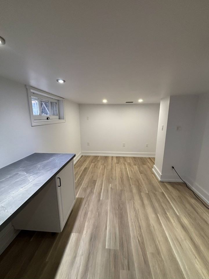 329 Christina St N Lowr - Photo 7 of 11