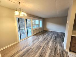 featured image of 411 Ellerdale Street #205